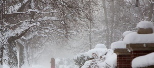 ABD'de kutup soğukları - kar - Sputnik Türkiye