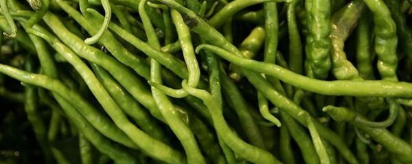 sivri biber - Sputnik Türkiye