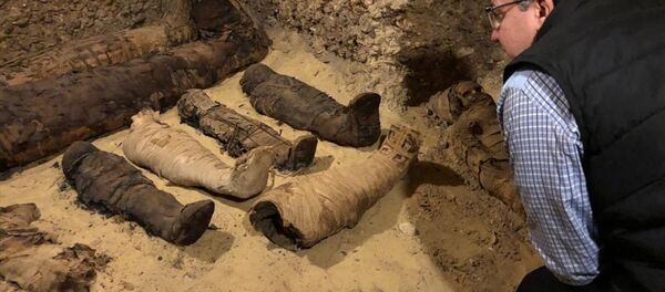 Mısır’ın Minye şehrinde tarihi mezarda 40 mumya ve diğer mezarlara açılan 3 kuyu tespit edildi. - Sputnik Türkiye