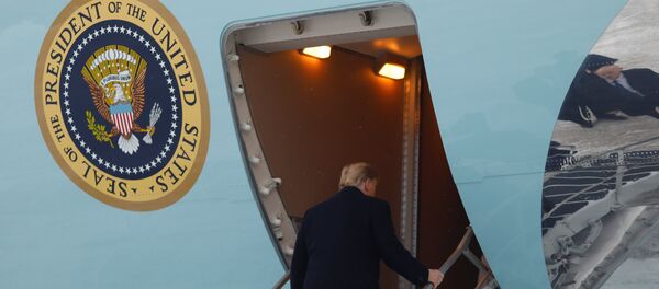 ABD Başkanı Donald Trump - Sputnik Türkiye