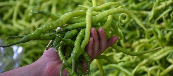 biber - Sputnik Türkiye