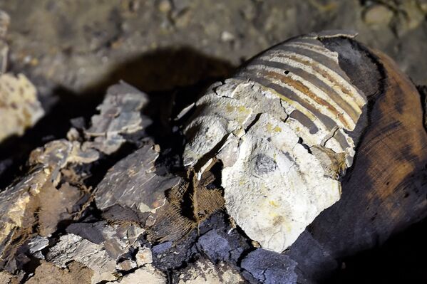 Mısır'da 40 mumya bulundu - Sputnik Türkiye