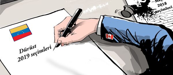 Karikatür - Sputnik Türkiye