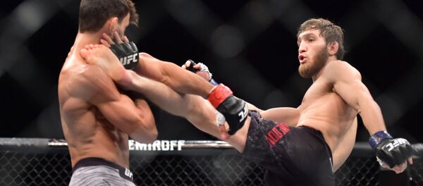 Said Nurmagomedov - Sputnik Türkiye