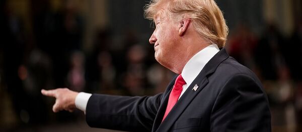 Donald Trump - Sputnik Türkiye