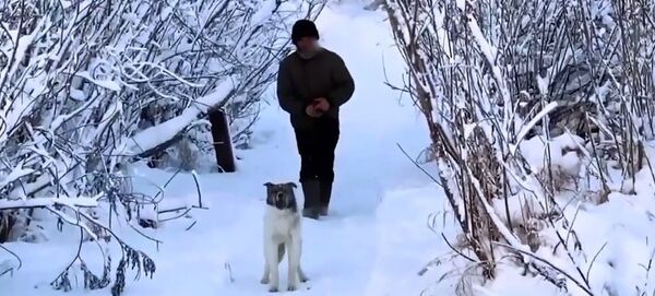 -40 derecelik ormanda yalnız geçen bir ömür - Sputnik Türkiye