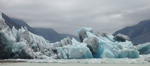 Tasman Buzulu - Sputnik Türkiye