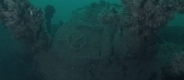 Hitler’in ‘kayıp filosu - Sputnik Türkiye