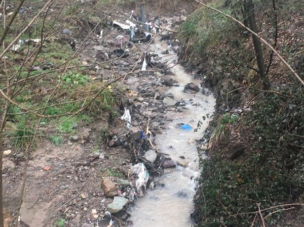 Yağmurlu havalarda çöpün bulunduğu alandan akan sular önce dereye, sonra da içme suyu olarak kullanılan Sapanca Gölü'ne ulaşıyor. - Sputnik Türkiye