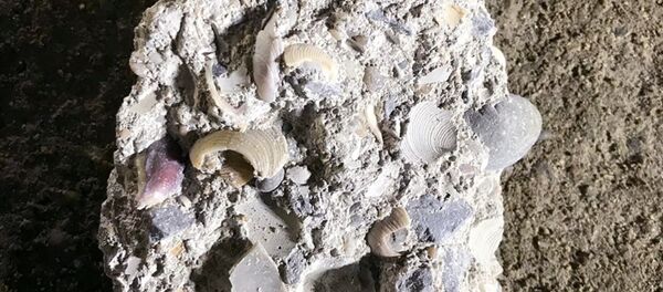 Kartal'da çöken bina - Sputnik Türkiye