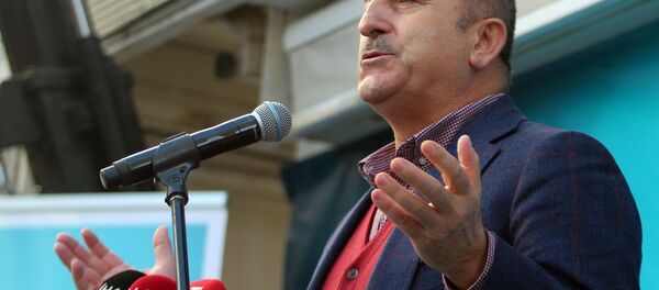 Dışişleri Bakanı Mevlüt Çavuşoğlu - Sputnik Türkiye