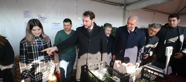 Hazine ve Maliye Bakanı Berat Albayrak - Sputnik Türkiye