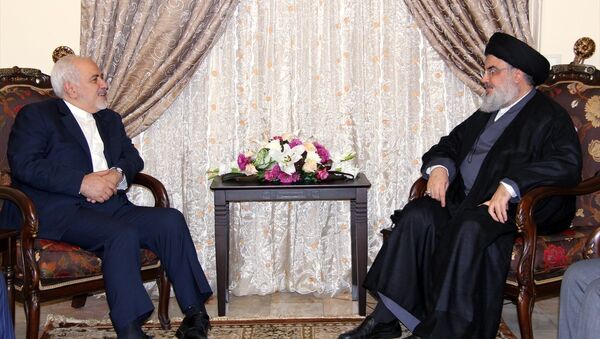 İran Dışişleri Bakanı Zarif, Nasrallah ile görüştü - Sputnik Türkiye