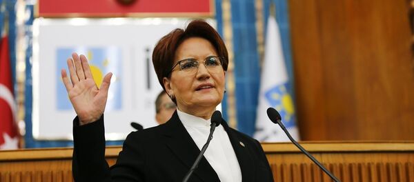 Meral Akşener - Sputnik Türkiye