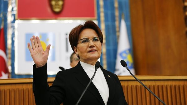 Meral Akşener - Sputnik Türkiye