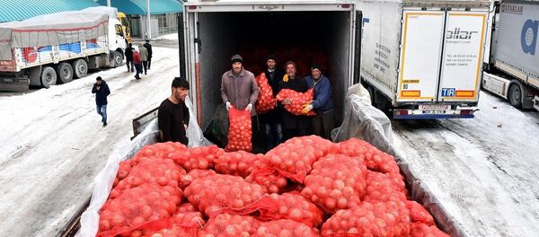 İran, soğan, ithalat - Sputnik Türkiye