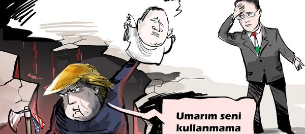 Karikatür - Sputnik Türkiye