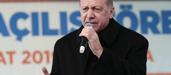 Recep Tayyip Erdoğan - Sputnik Türkiye
