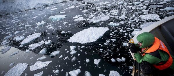 Antarktika - Sputnik Türkiye