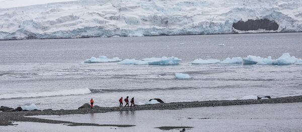 Antarktika - Sputnik Türkiye