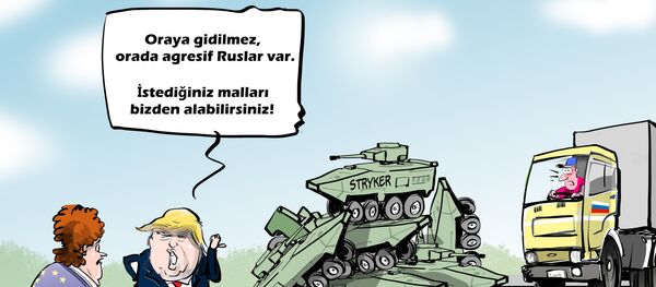 Karikatür - Sputnik Türkiye