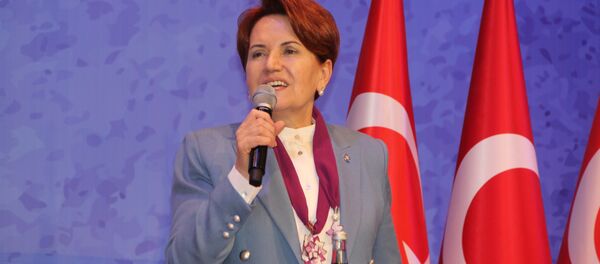 Meral Akşener - Sputnik Türkiye