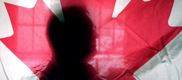 Andre Senecal, silhouetted behind a Canadian flag, Feb. 10, 2004, has been trying to get Americans to understand that Canada is more than polar bears, red-coated constables, hockey and long winters, introducing students to some of the intricacies of the European style of government. - Sputnik Türkiye