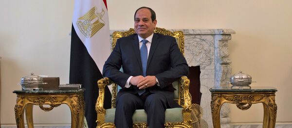 الرئيس المصري عبد الفتاح السيسي خلال لقائه مع وزير الخارجية الأمريكي مايك بومبيو في القاهرة الرئيس المصري عبد الفتاح السيسي خلال لقائه مع وزير الخارجية الأمريكي مايك بومبيو في القاهرة - Sputnik Türkiye