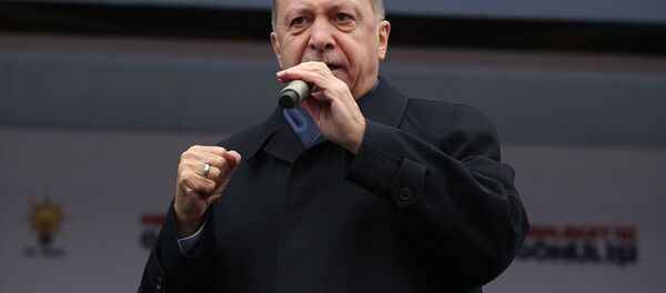 Recep Tayyip Erdoğan - Sputnik Türkiye