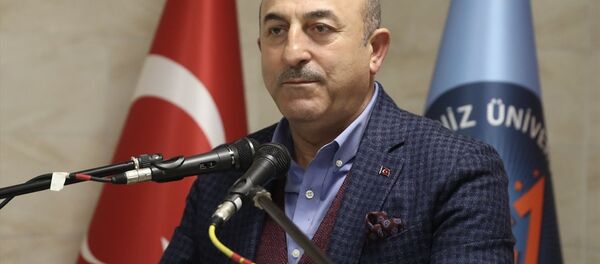 Dışişleri Bakanı Mevlüt Çavuşoğlu - Sputnik Türkiye