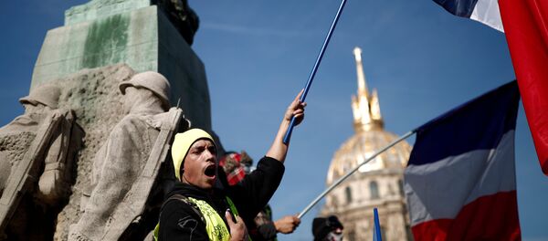 Fransa'da Sarı Yelekler gösterilerin 14. haftasında sokaklarda - Sputnik Türkiye