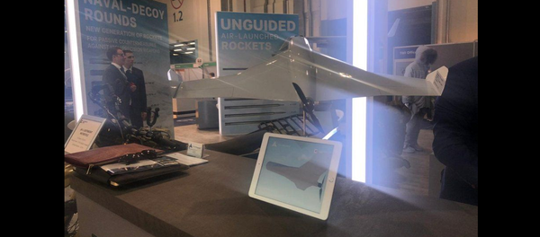 Russian Kamikaze Drone prototype - Sputnik Türkiye