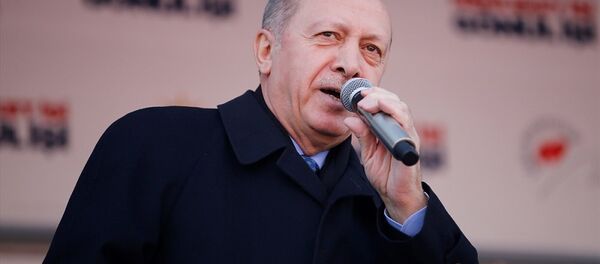 Recep Tayyip Erdoğan - Sputnik Türkiye