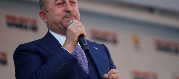 Mevlüt Çavuşoğlu - Sputnik Türkiye