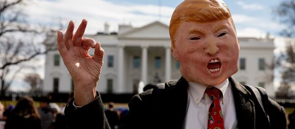 Beyaz Saray önünde 'ulusal acil durum' protestosu: 'Duvarı Trump'ın etrafına örün, bizi kurtarın' - Sputnik Türkiye