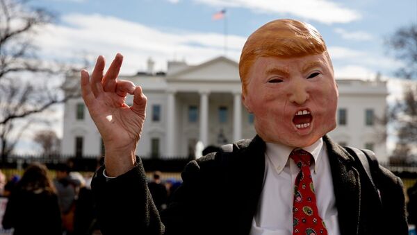 Beyaz Saray önünde 'ulusal acil durum' protestosu: 'Duvarı Trump'ın etrafına örün, bizi kurtarın' - Sputnik Türkiye