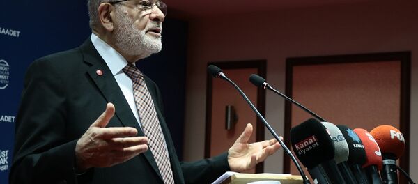 Temel Karamollaoğlu - Sputnik Türkiye