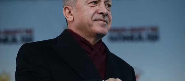 Recep Tayyip Erdoğan - Sputnik Türkiye