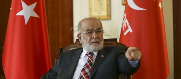 Temel Karamollaoğlu - Sputnik Türkiye