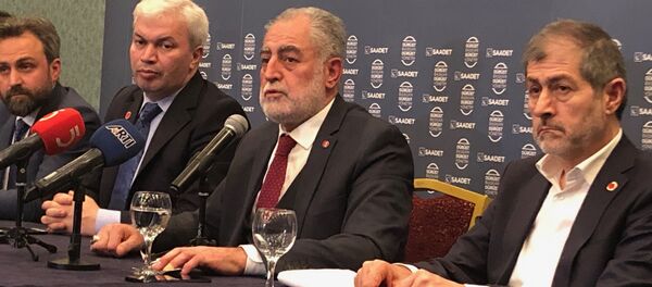 Necdet Gökçınar - Sputnik Türkiye