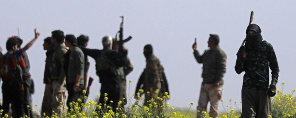 DSG - Baguz  - Sputnik Türkiye