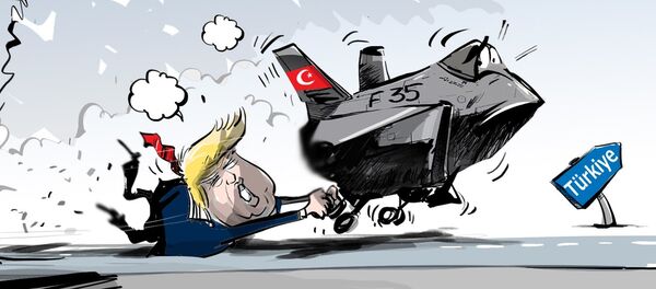 Karikatür - Sputnik Türkiye