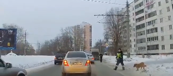 Rus polis aksayan köpeği karşıya geçirmek için trafiği durdurdu - Sputnik Türkiye