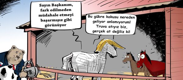 Karikatür - Sputnik Türkiye