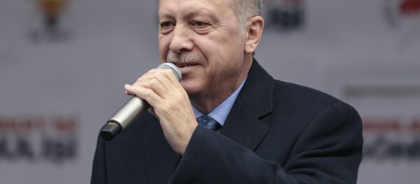 Cumhurbaşkanı Recep Tayyip Erdoğan - Sputnik Türkiye