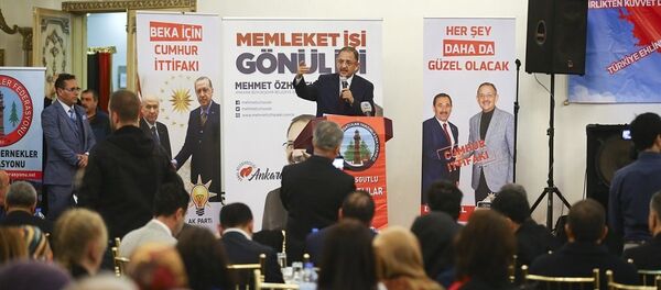 Mehmet Özhaseki - Sputnik Türkiye