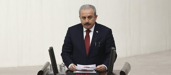 AK Parti Tekirdağ Milletvekili Mustafa Şentop AK Parti Tekirdağ Milletvekili Mustafa Şentop - Sputnik Türkiye