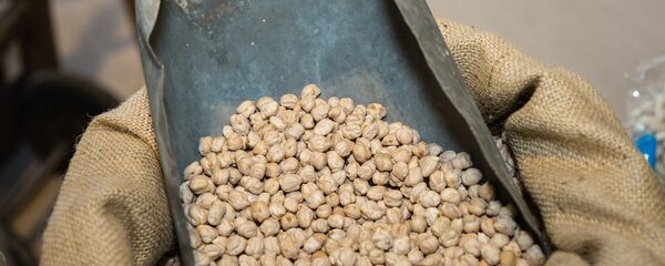 Nohut - Sputnik Türkiye