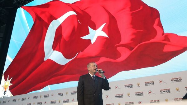 R.T.Erdoğan - Sputnik Türkiye
