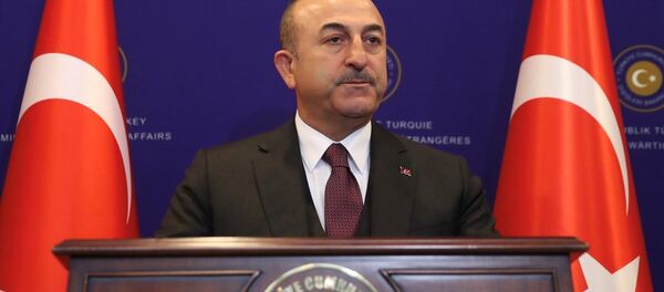 Mevlüt Çavuşoğlu - Sputnik Türkiye